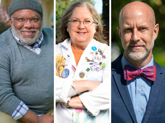 Cato Winners Teachers